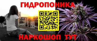 a pvp Краснознаменск